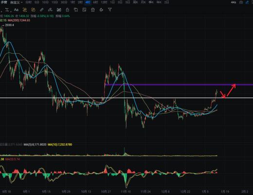 
      区块链希乐：1月13日盘面依旧强势 探底回升之后 该如何操作？