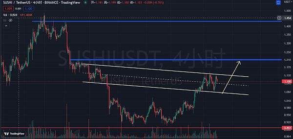 
      炒币养家：1.12小币种行情分析直播总结