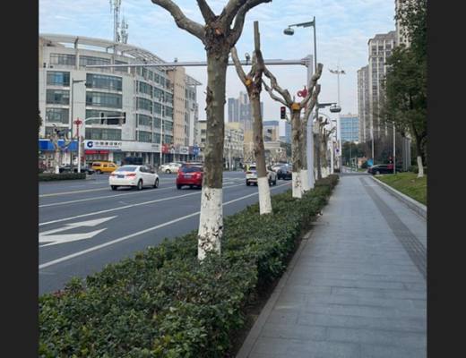 
      The RightsVERSE Lab：NFR相机在公路巡护中的应用