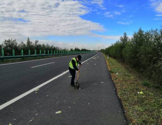 
      The RightsVERSE Lab：NFR相机在公路巡护中的应用