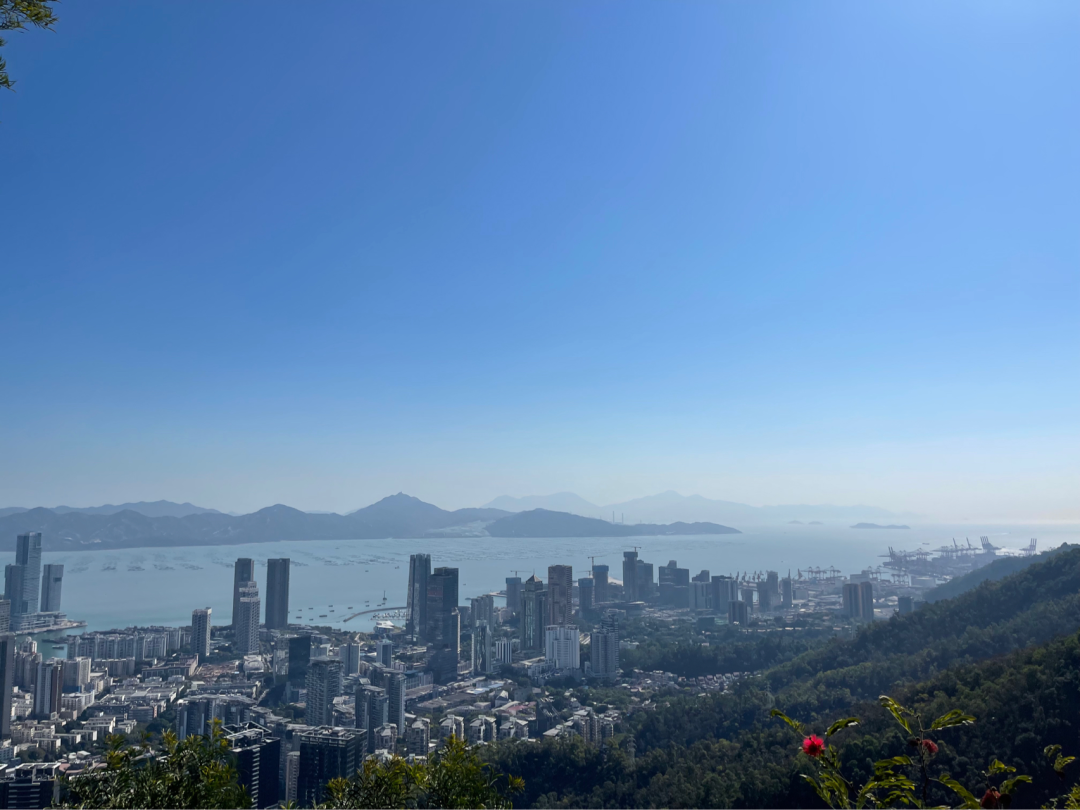 
      为什么在web3 里要把自己当成CEO？