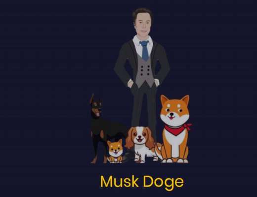BSC链超强链游——Musk Doge