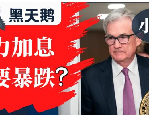 
      普涨行情 市场百花齐放 韭菜持续亢奋