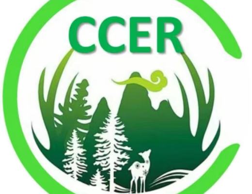 
      CCER缔造区块链应用碳资产交易先进平台 盘活元宇宙碳中和金融市场