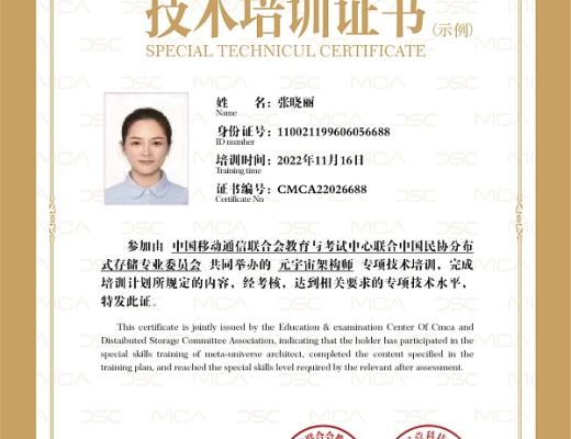 
      5G+人才培养工程积极推动权威元宇宙职业岗位建设 元宇宙人才技能岗位培训课程正式开启