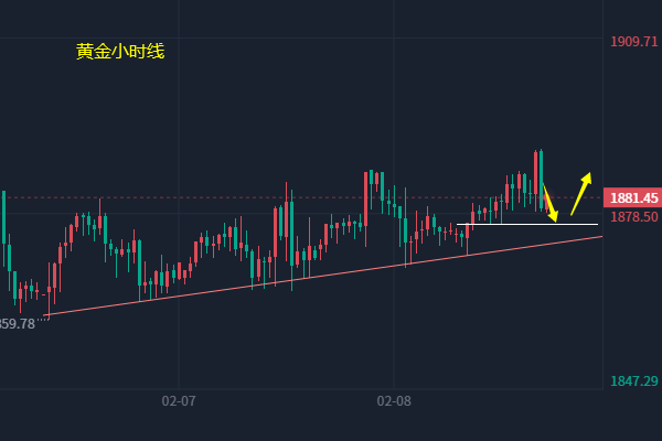 
      小冯：以太坊1610形成强支撑 黄金短线震荡上行