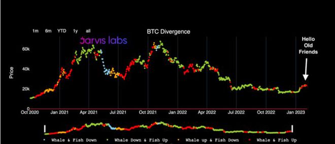 
      空头当心：比特币进入“公牛”阶段