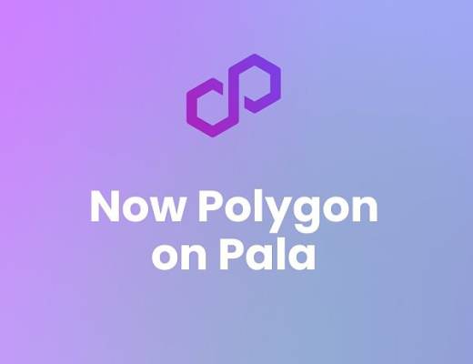 Polygon生态周报(2.6-2.12)