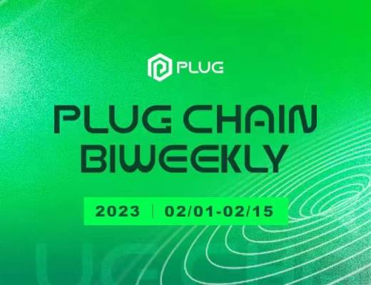 
      PlugChain 2月双周报(02/01-02/15)