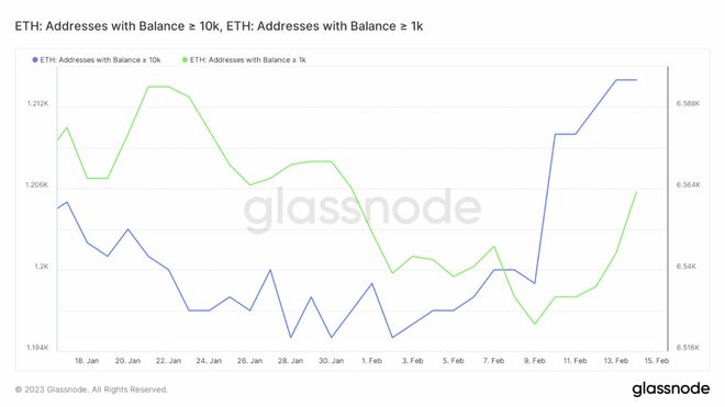 
      以太坊 [ETH] 鲸鱼堆积如山  但这足以进行水平重新测试吗？