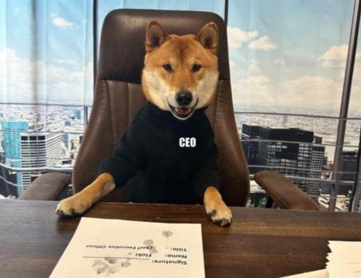 
      币圈院士：2.16比特币以太坊V形过度创年内新高,能否延续?最新行情分析及操作建议解析