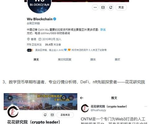 
      对标 AGIX 、各大资深大V 推荐的 CNTM 上方空间究竟在哪？