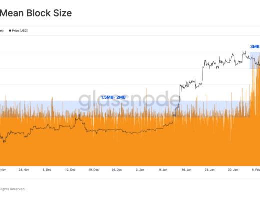 
      熊末牛初：Ordinals是福是祸？