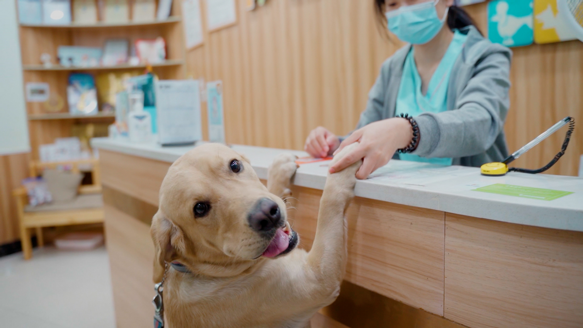 
      长期主义视角下 如何看待新瑞鹏(RPET)的成长路径