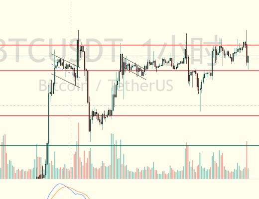 炒币养家:2.21比特币行情分析插针不要慌继续多继续嗨