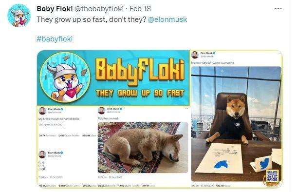 
      Floki与Baby Floki是否能接棒Doge和Baby doge 的神话故事