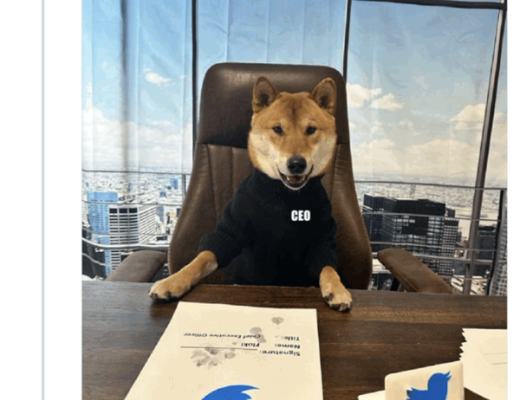 
      Floki与Baby Floki是否能接棒Doge和Baby doge 的神话故事
