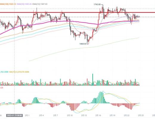 炒币养家:2.23以太坊行情分析高位不上力度衰弱谨慎开多