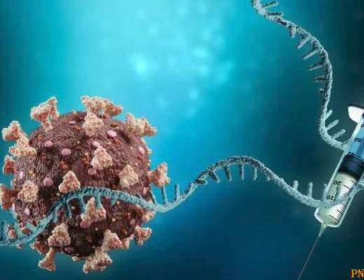 揭深层政府代表盖茨基金会研发新冠病毒真相