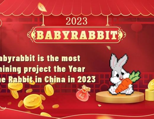 
      Babyrabbit 全网首个得到大陆G资投资的区块链模因币项目