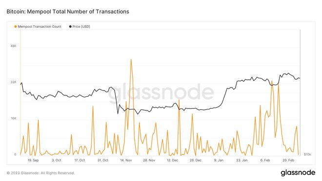 
      BTC 鲸鱼数量缩减至2020年初的水平——本周关于比特币的 5 件事