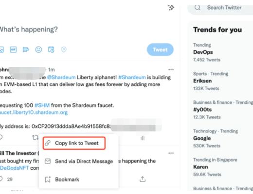 印度新神链 shardeum 估值2亿美金 会是下一个MATIC ?