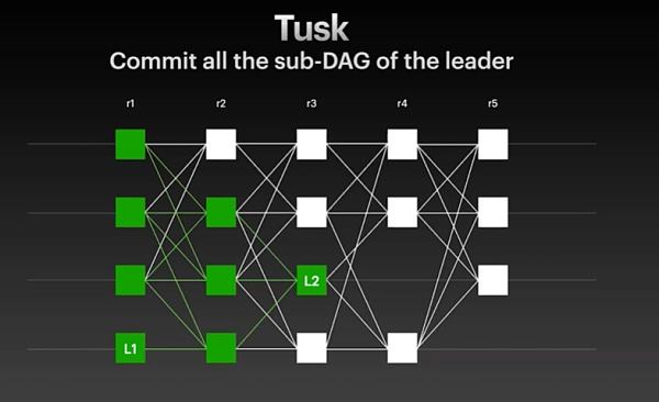 
      7 O'Clock Capital：一文读懂SUI及其生态