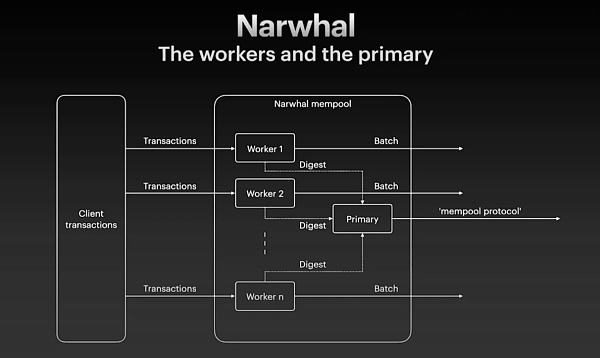 
      7 O'Clock Capital：一文读懂SUI及其生态