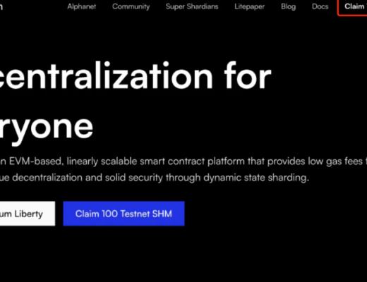 印度新神链 shardeum 估值2亿美金 会是下一个MATIC ?