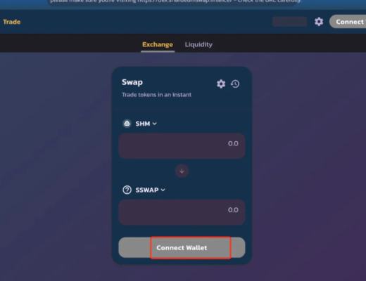 印度新神链 shardeum 估值2亿美金 会是下一个MATIC ?