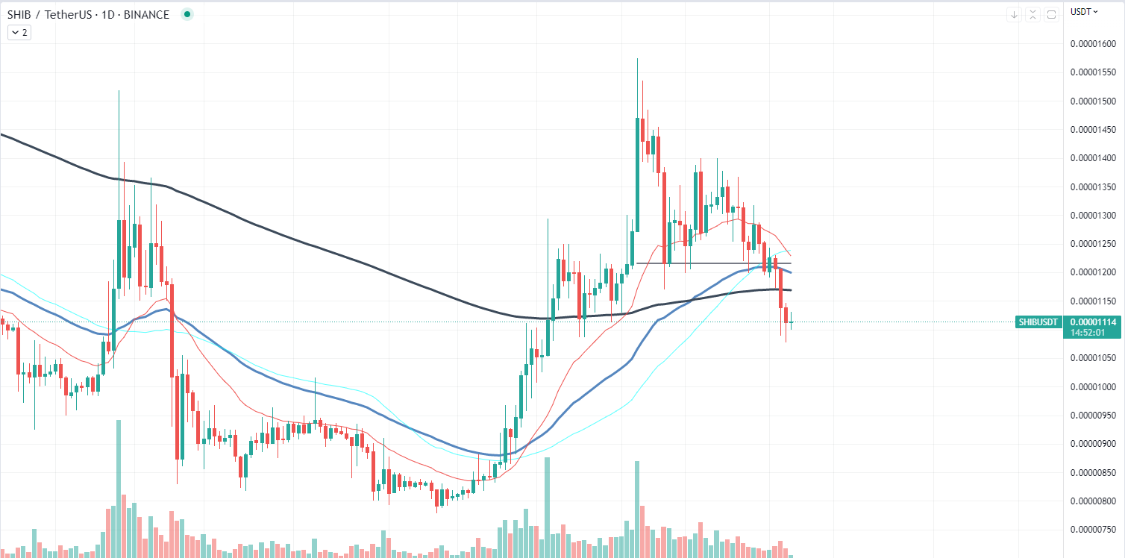 
      柴犬（SHIB）为死亡十字架设定 但这真的重要吗？