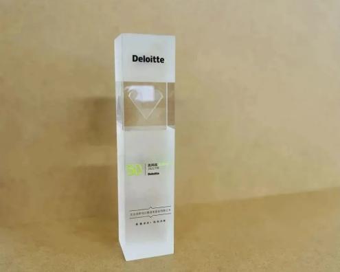 
      宝利翔源 | 奕斯伟入选德勤荣誉榜单 实力爆发引领发展