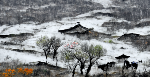 如何使用AI制作NFT?(详细教程) 那么如何使用AI工具创作内容呢?我们以Disco Diffusion举例,进行AI绘画?