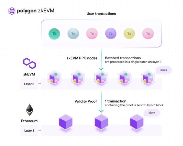 
      ZK扩容赛道：谁能脱颖而出？