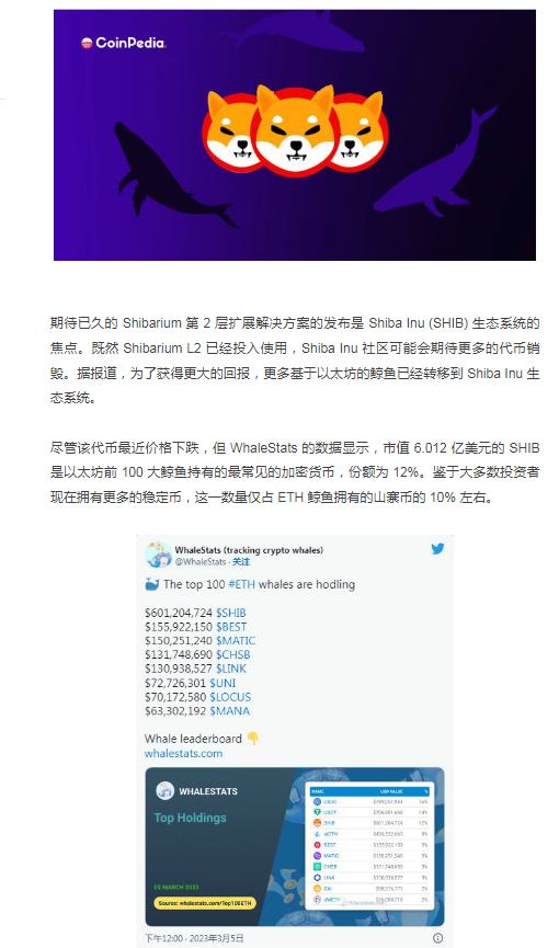 
      鲸鱼在地平线上推出 Shibarium 来炒作 SHIB