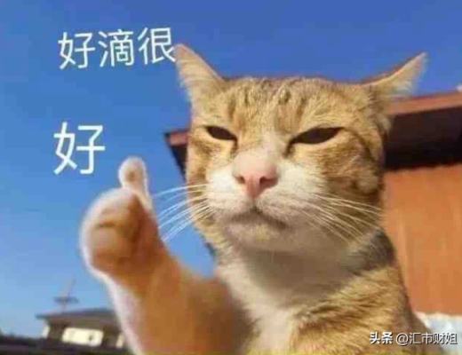 汇市财姐-3/8金价暴跌后 你是如何应对多空抉择?