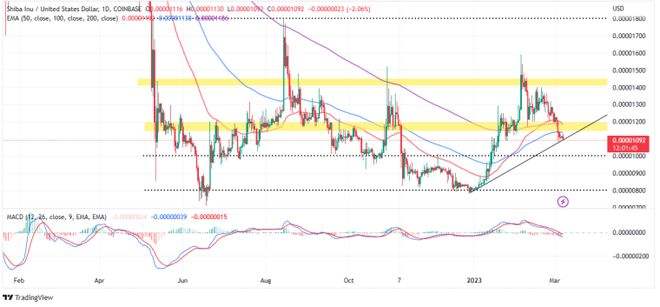 
      在鲸鱼进行150万美元交易后 柴犬（SHIB）可能会飙升 是时候买入了吗？