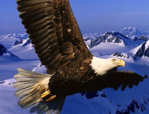 
      “鹰调”双倍 美联储或将加快加息 鲍威尔称不想遏制加密创新