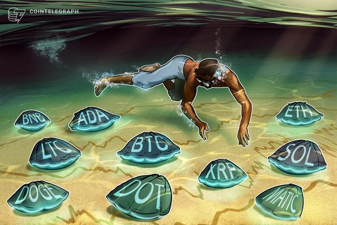 
      价格分析 3/8：BTC、ETH、BNB、XRP、ADA、DOGE、MATIC、SOL、LTC