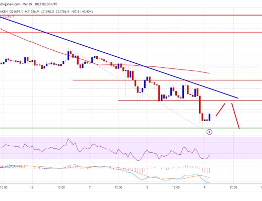 
      比特币价格空头继续推动  为什么跌至 2 万美元仍有可能