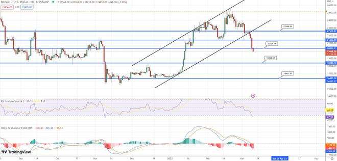 
      多头将 BTC 维持在 19,500 美元以上时的比特币价格预测
