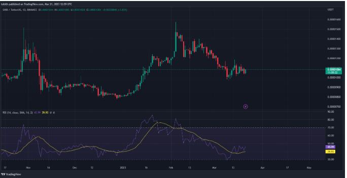 SHIB 价格会很快达到 0.0000217139 美元吗?