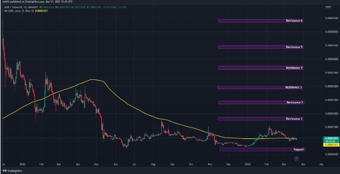 SHIB 价格会很快达到 0.0000217139 美元吗?