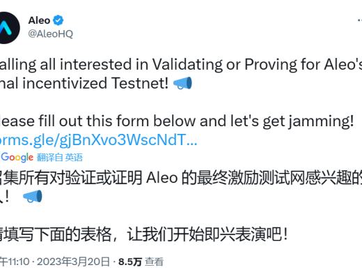 
      Aleo官方召集志愿者对最终激励测试网进行测试 三测快开始啦