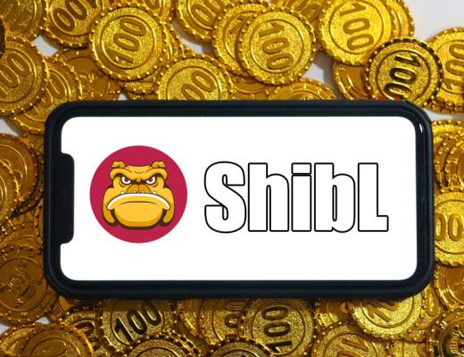 
      2023最火的是什么？ShibL与交易合作联合空投引海内外粉丝关注