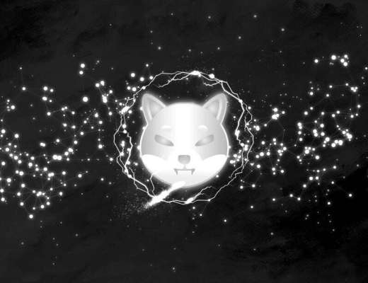 
      未来将是一个怎样的时代？ShibL数字化经济铺就光明应用前景