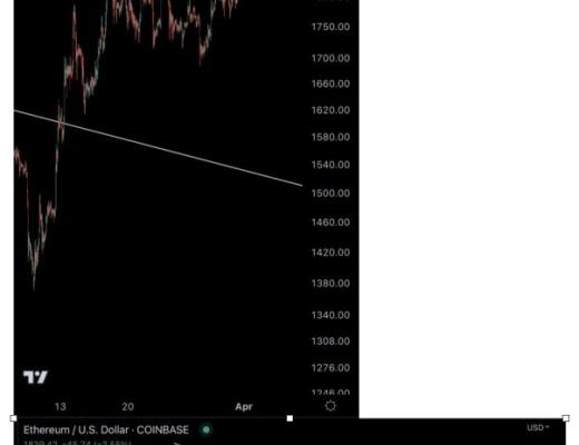 
      分析师创造历史：比特币将达到 30,000 美元山寨币呢