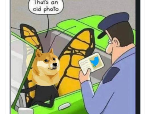 马斯克将 Twitter 标志更改为柴犬形象后 狗狗币涨幅超过 30%