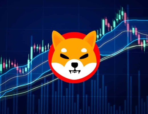 
      顽强的SHIBAI币值得每一位币圈人点赞 或将是下一个SHIB