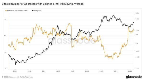
      尽管存在看跌压力,比特币仍坚守在 28,000 美元上方——牛市即将到来吗？